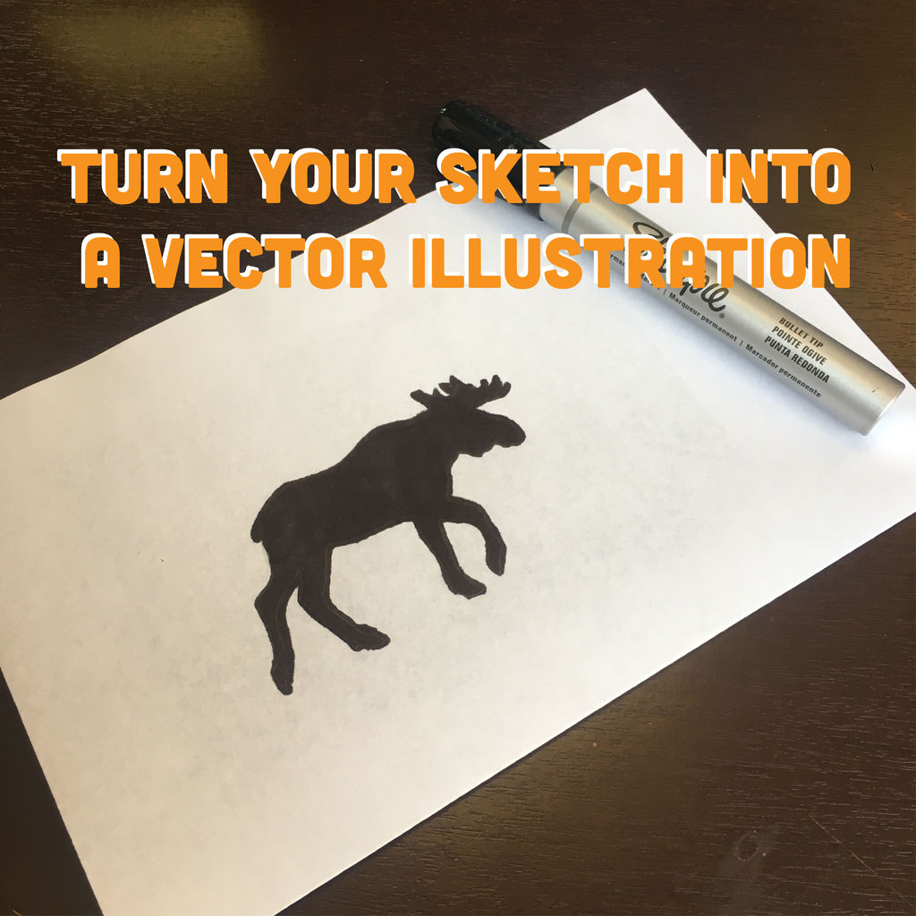 1024x1024 Turning A Sketch Into Vector Artwork Steps