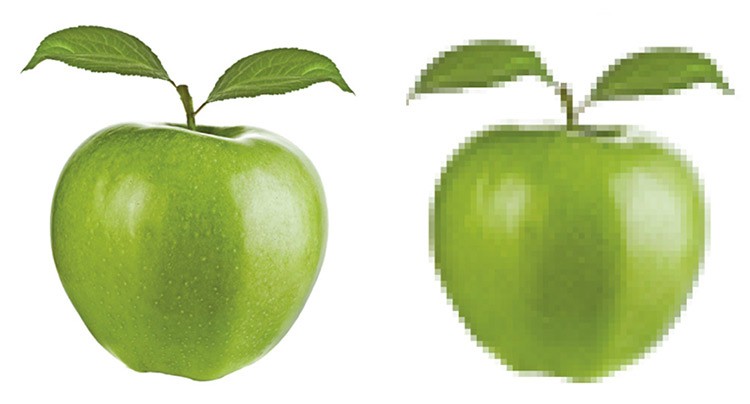 What Is Vector Artwork At Vectorified Collection Of What Is What Is Vector Artwork At Vectorified Collection Of What Is