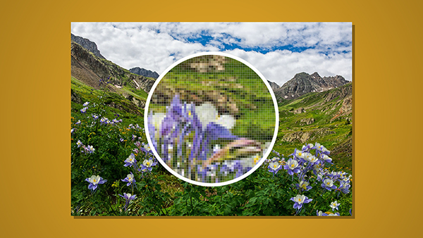 600x338 What Is The Difference Between Raster And Vector Artwork