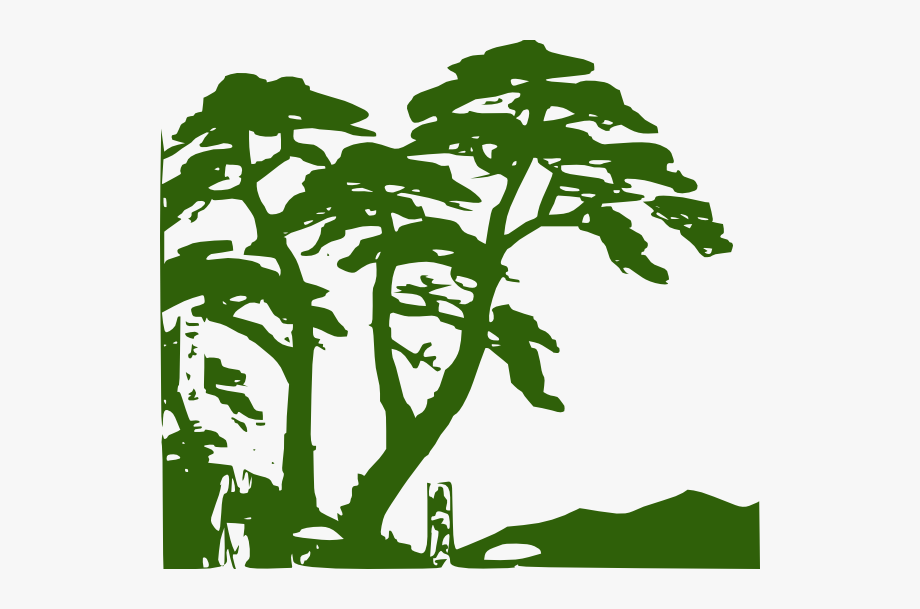 920x609 Rainforest Edit Clip Art At Vector Clip Art