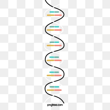 360x360 Dna Png, Vector, And Clipart With Transparent Background