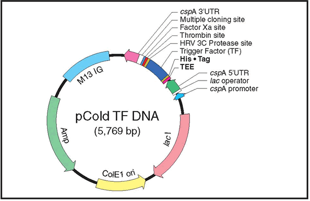 612x398 Pcold Tf Dna