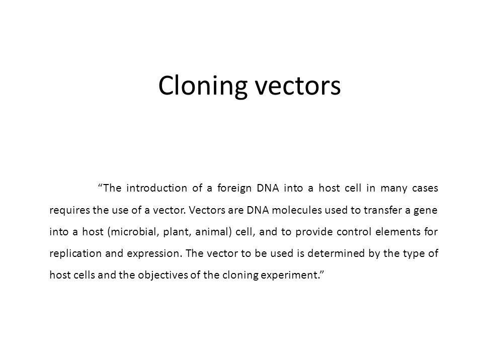 960x720 Cloning Vectors Introduction Of A Foreign Dna Into A Host