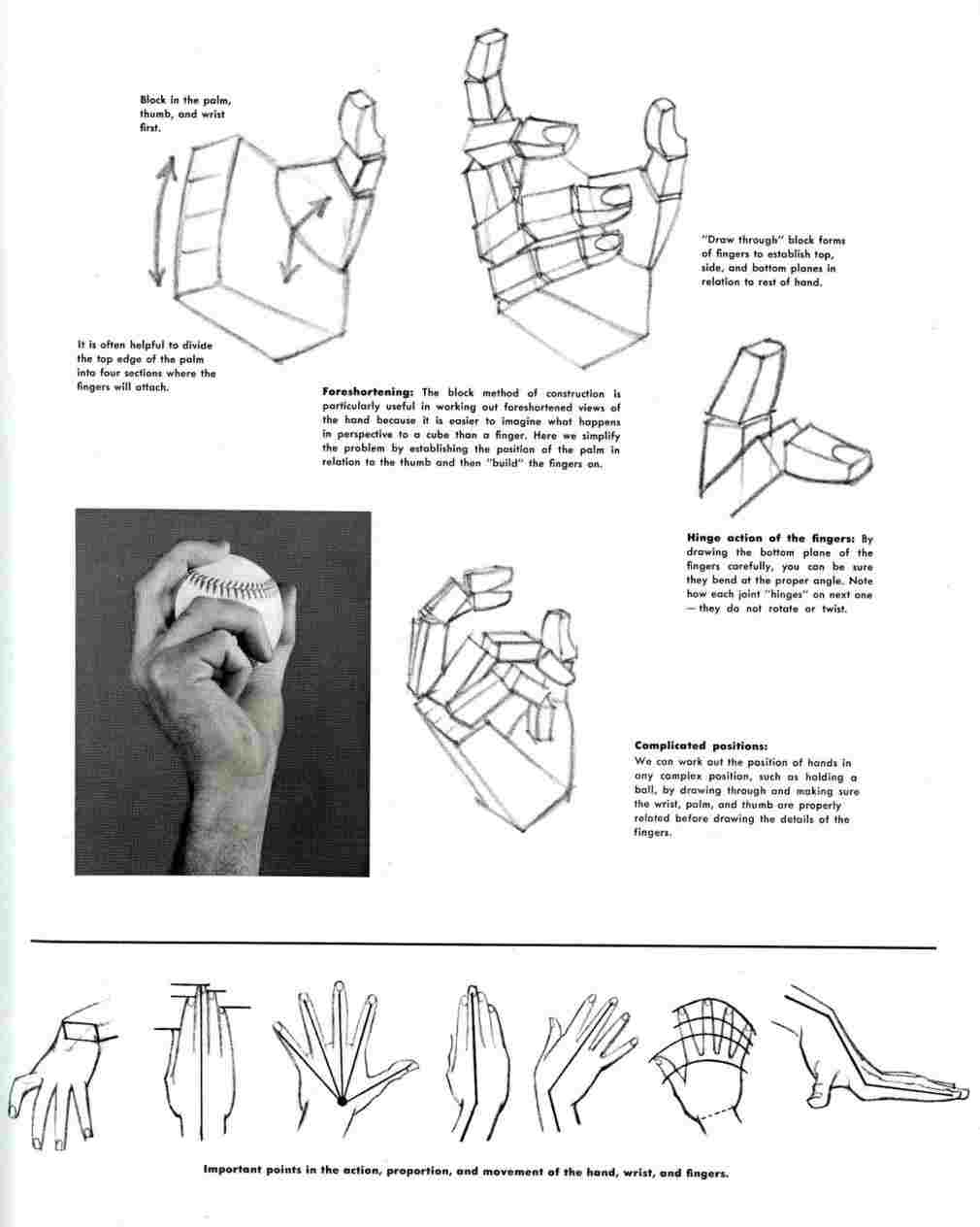 1010x1264 Rhtrashedgraphicscom Vector Drawing Hands Holding Things Line