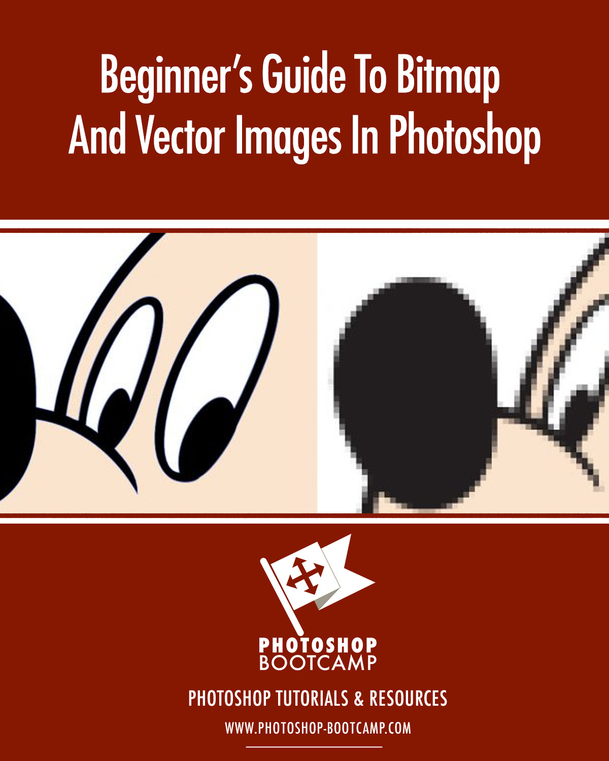 Beginner's Guide To Bitmap And Vector Images In Photoshop 1200x1500 Beginner's Guide To Bitmap And Vector Images In Photoshop