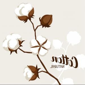 300x300 Raster Vs Vector Mean Whats Difference Newwaysys