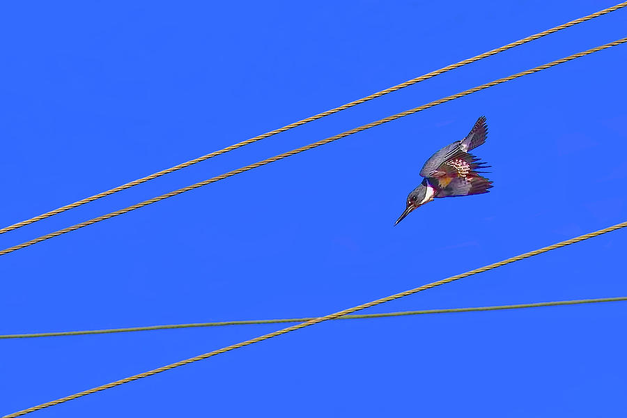 900x600 What's Your Vector Victor Photograph