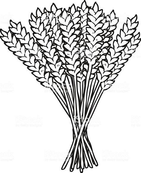 474x583 Image Result For Black And White Wheat Bundle Clipart Craft