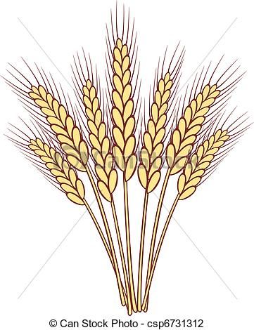 361x470 Image Result For Small Wheat Sheaf Vector Boncuk