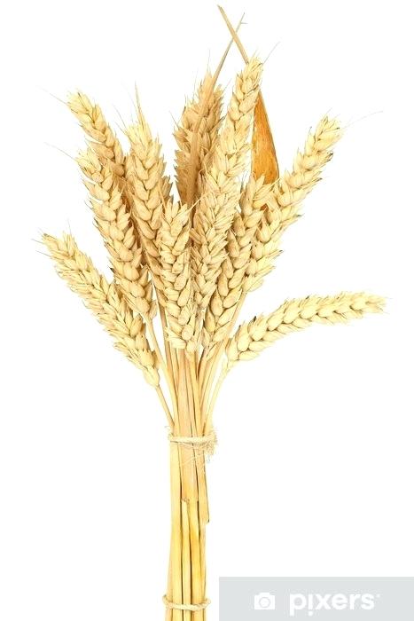 467x700 Wheat Bundle Decor Stardew Bundles Clothes