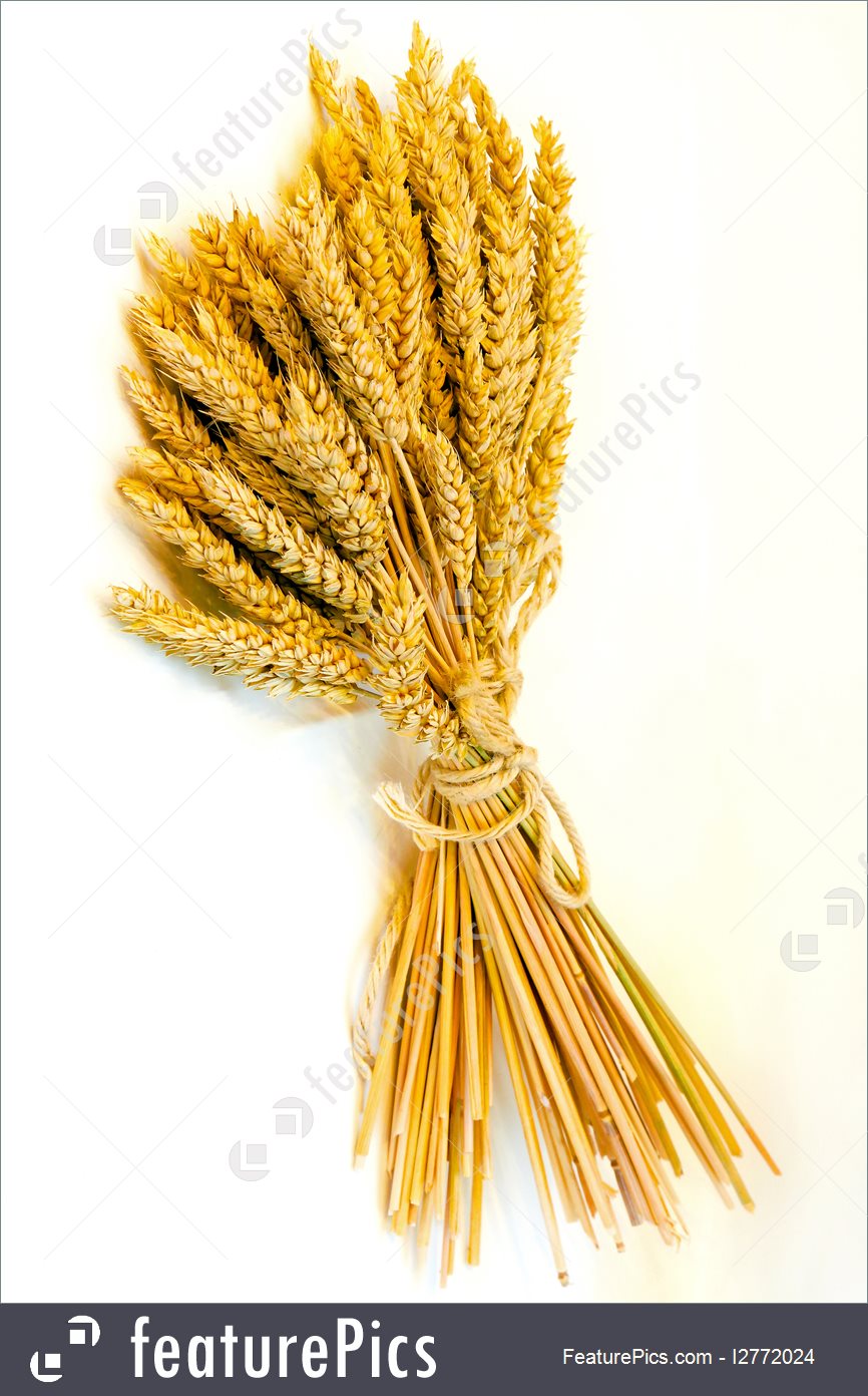 866x1392 Wheat Bundle Image