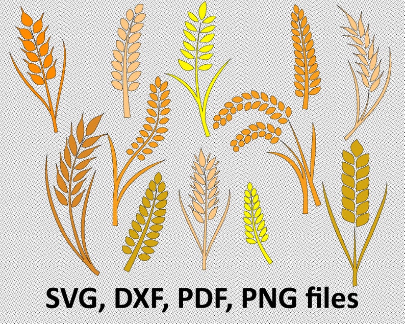 794x635 Wheat Gra Wheat Clipart Cricut Etsy