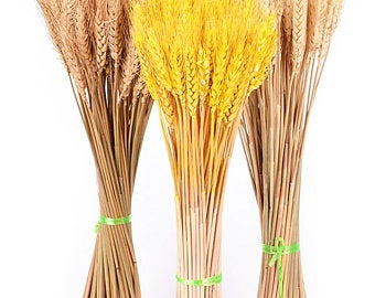 340x270 Wheat Bundle Etsy