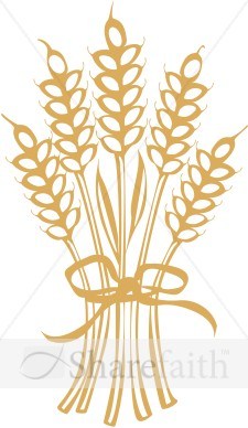 225x388 Wheat Clipart Bundle For Free Download And Use Images