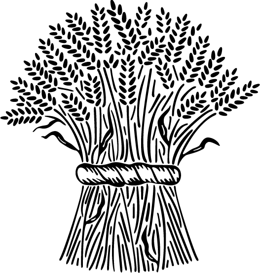 527x552 Wheat Clipart Sheaf For Free Download And Use Images