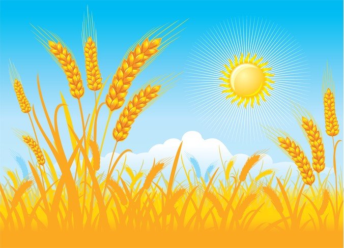 676x488 Free Wheat Field Files, Vectors Graphics