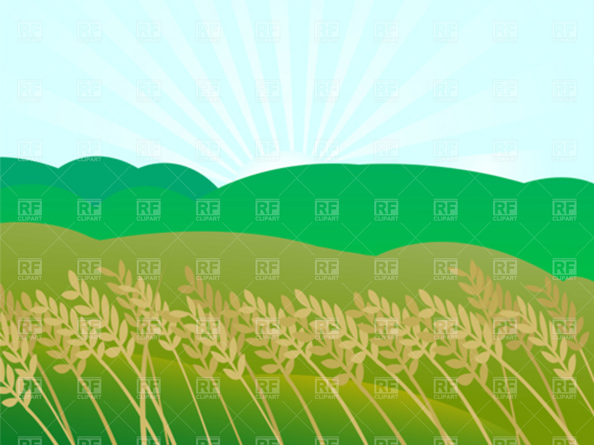 1200x899 Sunset Landscape And Wheat Field Vector Image Of Backgrounds