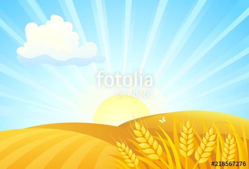 500x340 Vector Cartoon Illustration Of Autumn Wheat Fields, Sunrise