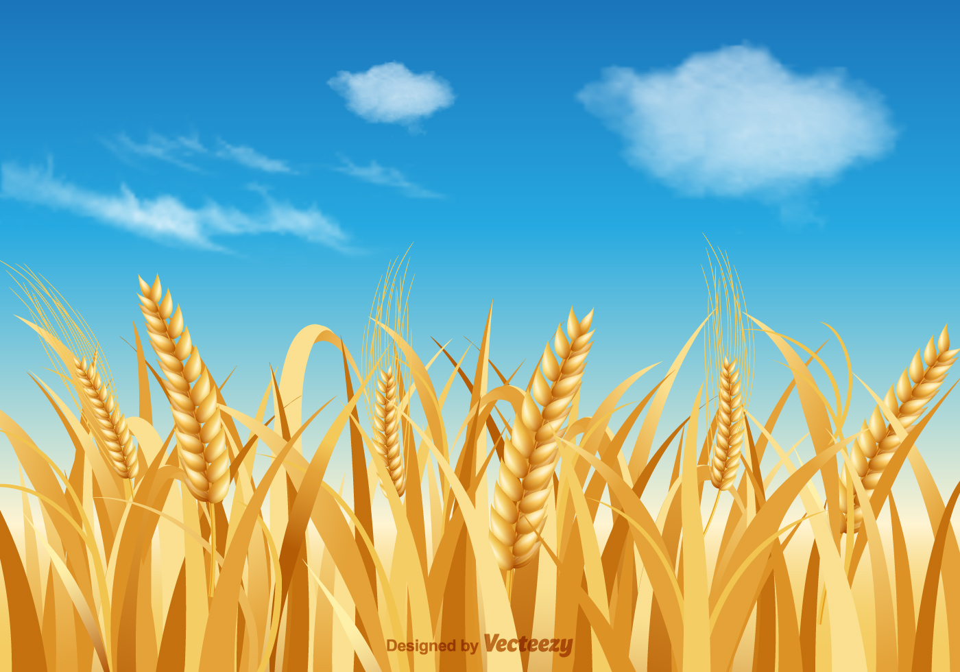 Wheat Field Vector at Collection of Wheat Field