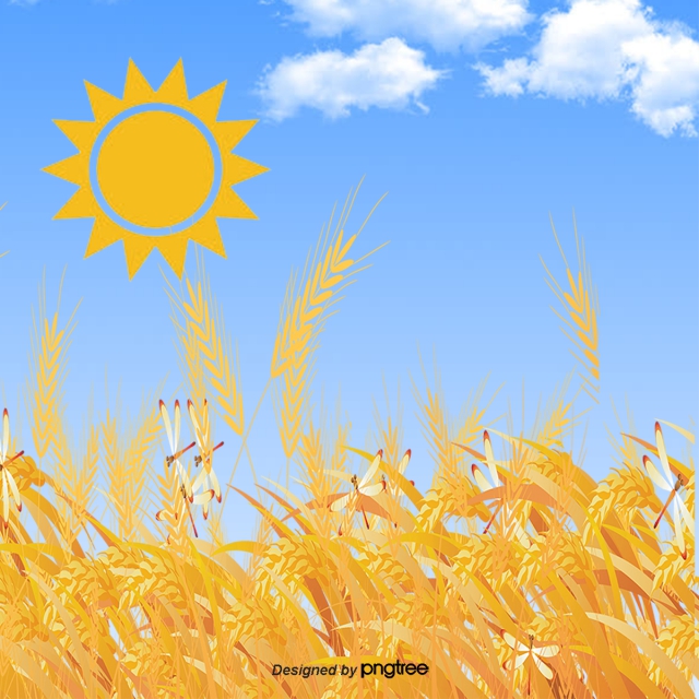 Wheat Field Vector at Vectorified.com | Collection of Wheat Field