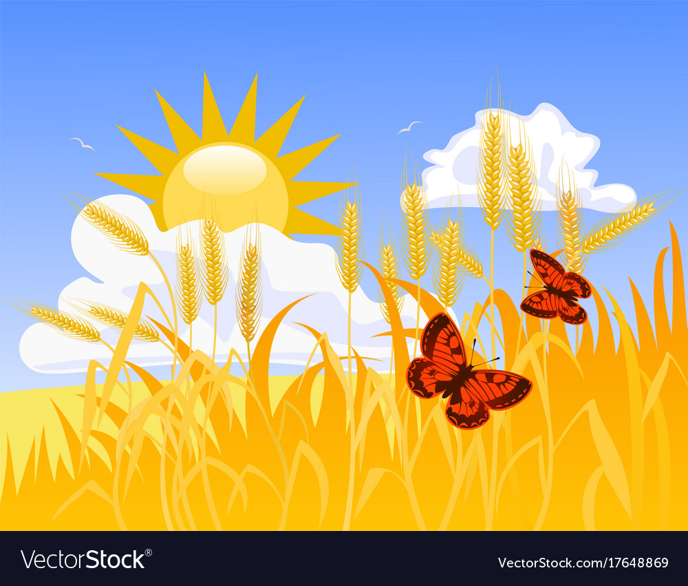 Рисование пшеничное поле