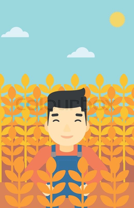 518x800 An Asian Farmer Standing In A Wheat Stock Vector Colourbox