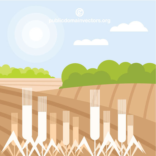 500x500 Wheat Fields Vector Graphics