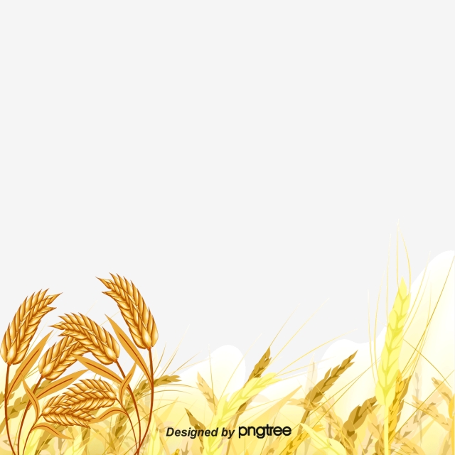 Wheat Field Vector at Vectorified.com | Collection of Wheat Field ...