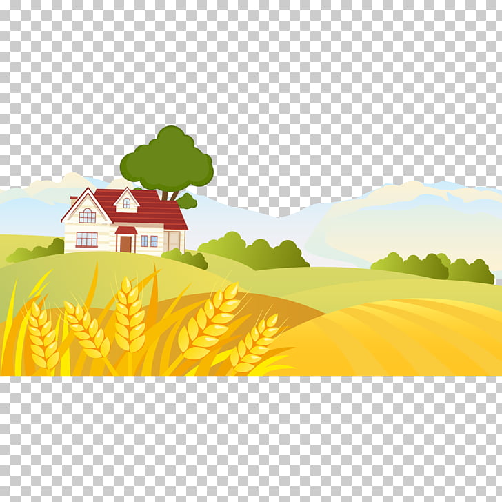 728x728 Cartoon Landscape Drawing Illustration, Golden Wheat Field, White