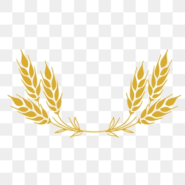 360x360 Wheat Grain Png, Vector, And Clipart With Transparent