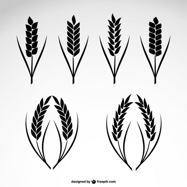 626x626 Wheat Collection Icons Vector Free Download