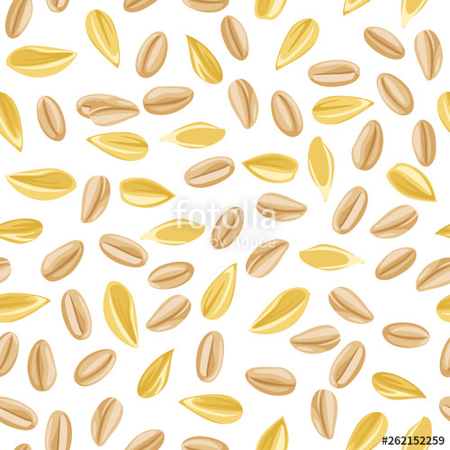 500x500 Wheat Grains On A White Background Seamless Pattern Whole Grain