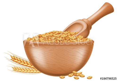 500x346 Wooden Bowl With Wheat Grain And Wooden Spoon Vector Illustration