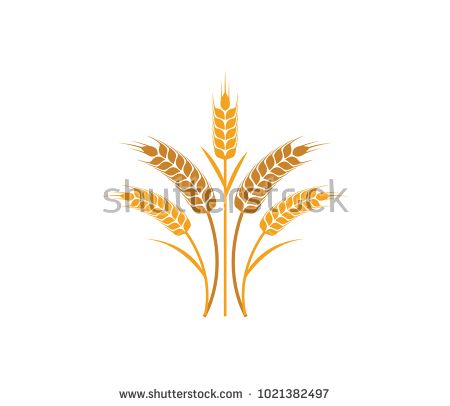 450x406 Vector Logo Design And Elements Of Wheat Grain, Wheat Ears, Wheat