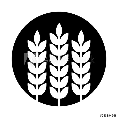 500x500 Wheat Grain Vector Logo