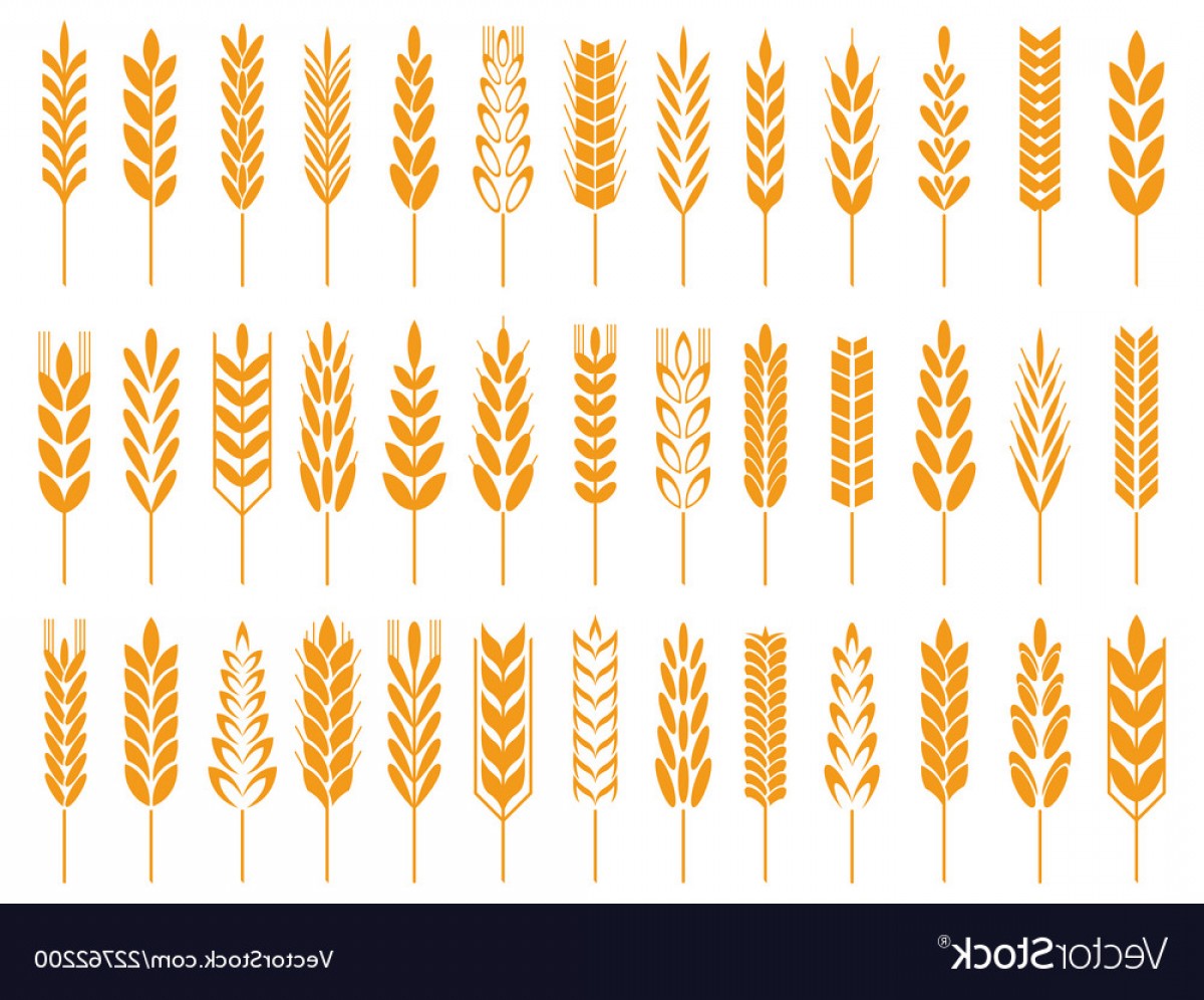 1200x996 Gold Vector Farm Icon Catamart