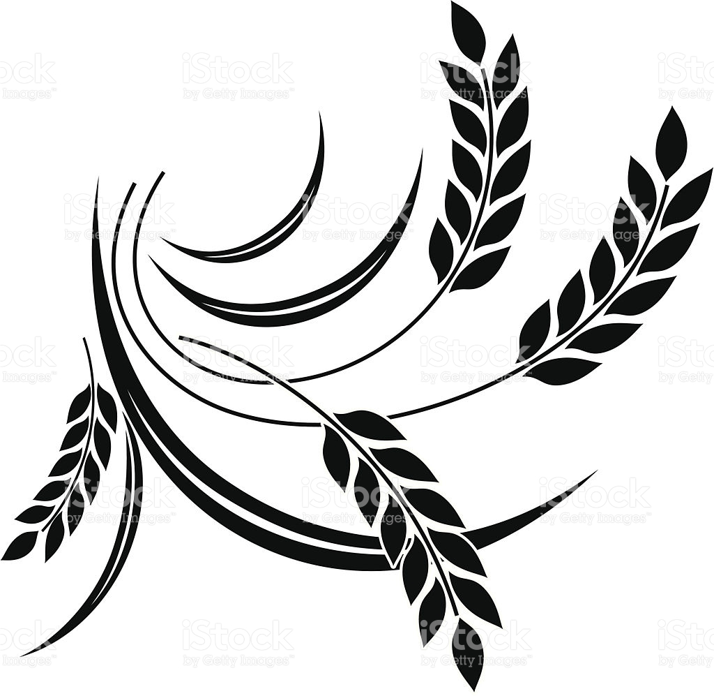 1024x997 Wheat Icon Vector