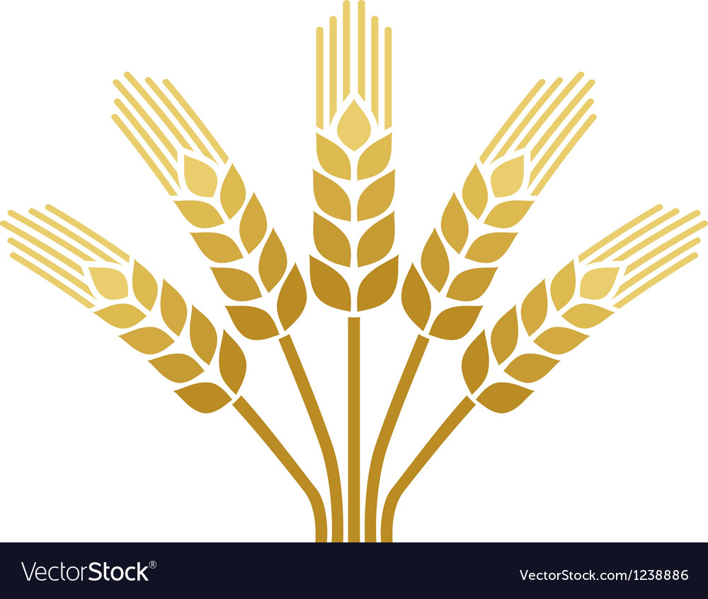 1000x847 Wheat Icon Vector