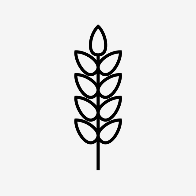 640x640 Wheat Line Black Icon, Wheat, Flour, Food Png And Vector