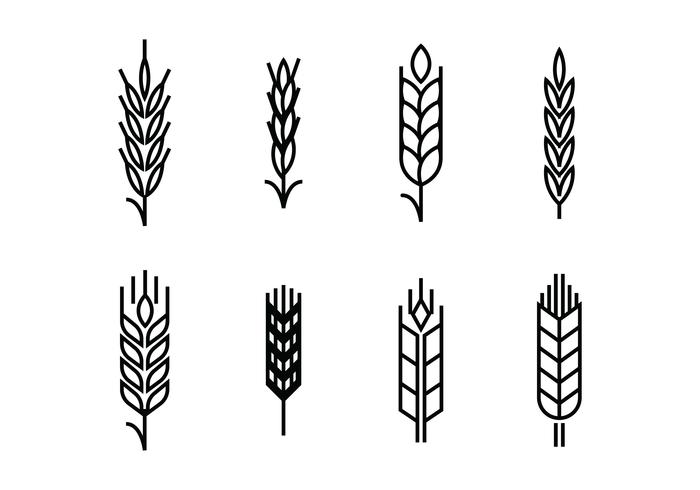 700x490 Wheat Ears Set Icons