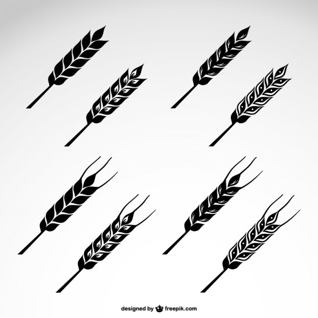 626x626 Wheat Icons Set Vector Free Download