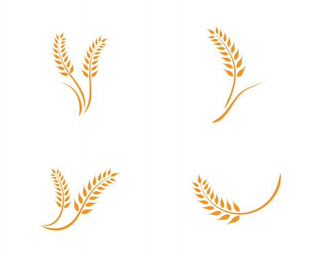 626x500 Wheat Logo Template Vector Premium Download