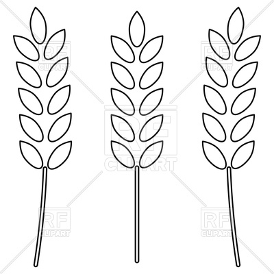 400x400 Wheat Outline Icon Vector Image Of Silhouettes, Outlines