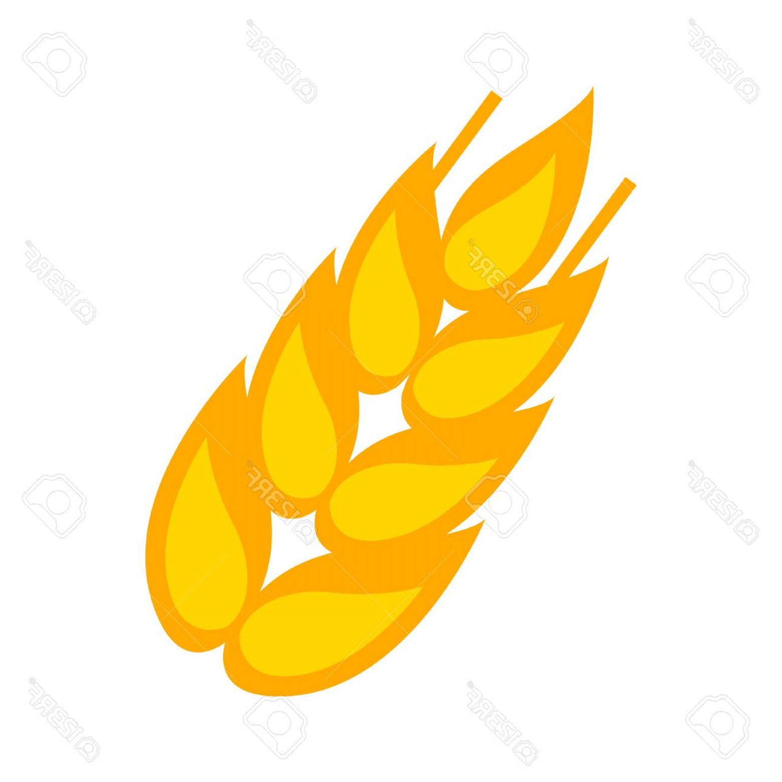 1560x1560 Photostock Vector Gluten Icon Vector Symbol Wheat Free Gluten