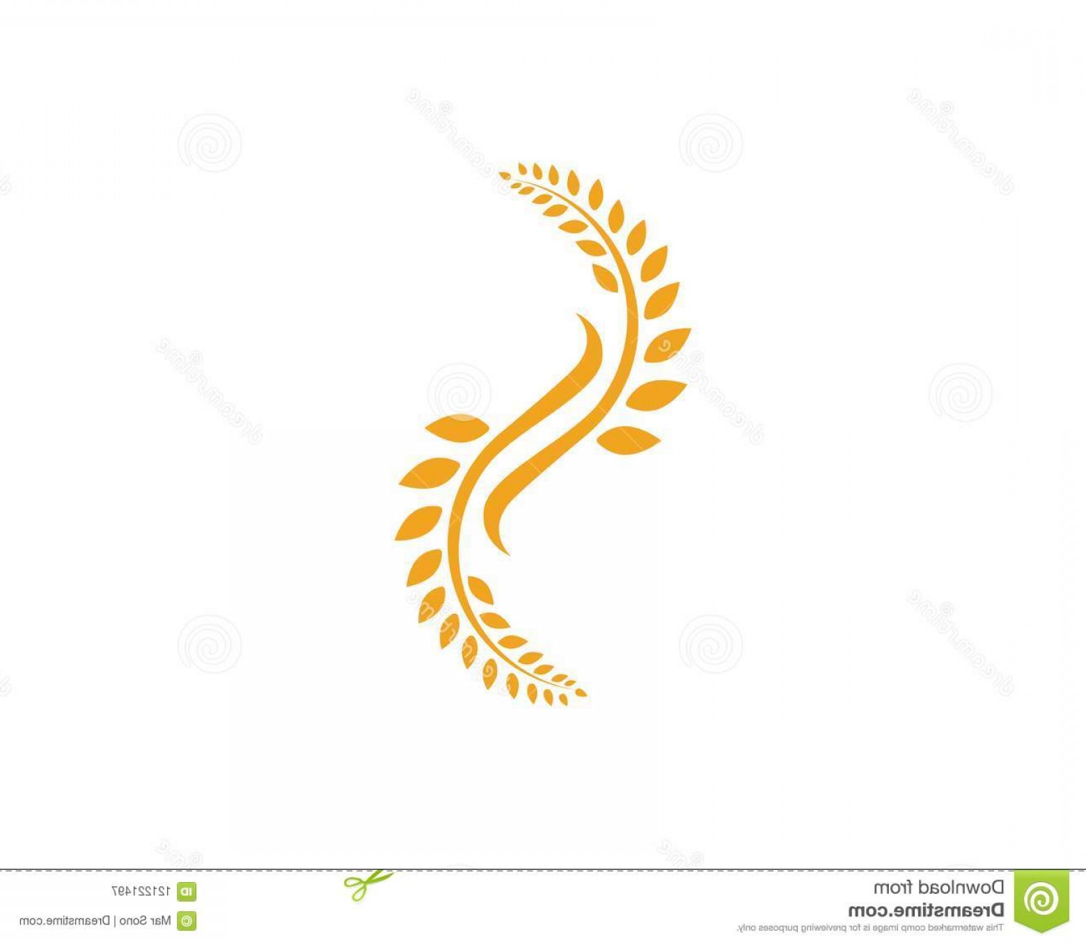 1560x1356 Agriculture Wheat Logo Template Healthy Life Logo Vector Icon De