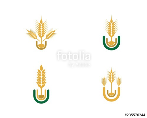 500x400 Wheat Logo Vector Icon Stock Image And Royalty Free Vector