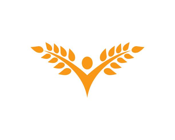 Wheat Logo Vector at Vectorified.com | Collection of Wheat Logo Vector ...