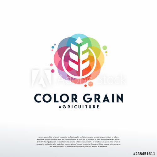 500x500 Colorful Wheat Logo Vector, Grain Logo Designs Template, Design