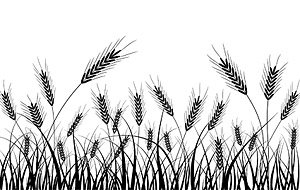 300x190 Free Wheat Silhouettes Clipart And Vector Graphics