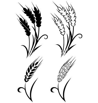 380x400 Wheat Stalk Vector Images